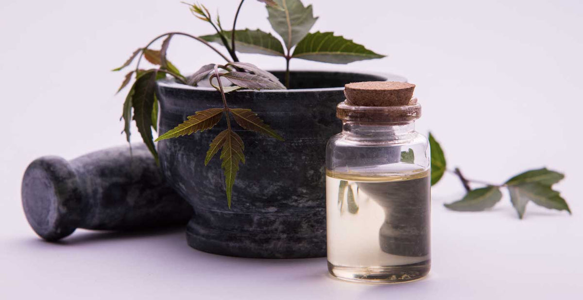 Perfect Locks hair oil for extensions in a bottle beside a dark stone mortar with green leaves