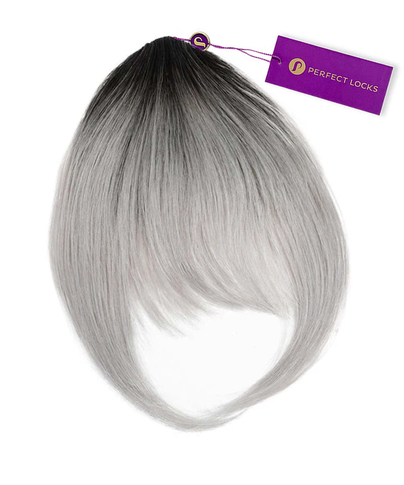 #color_rooted-black-to-silver-(1B/S)