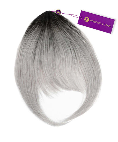 #color_rooted-black-to-silver-(1B/S)