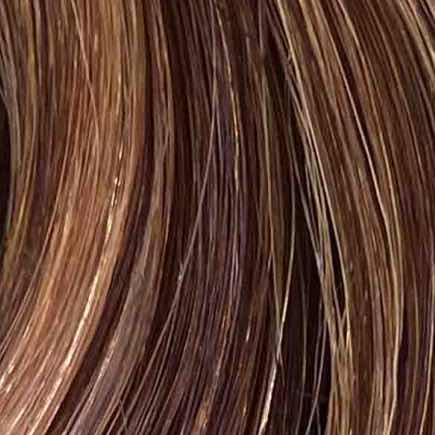 Warm Mocha Lowlights (2/4/6)