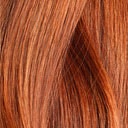 Golden Brown (6)