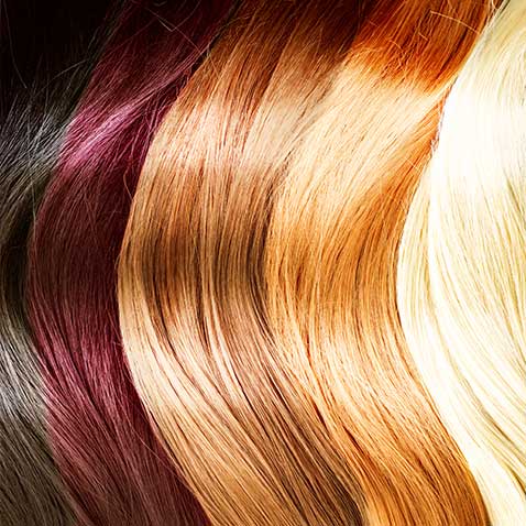 Five sections of hair - black, burgundy, brown, light brown, and blonde - are side by side in smooth waves, showing vibrant color.
