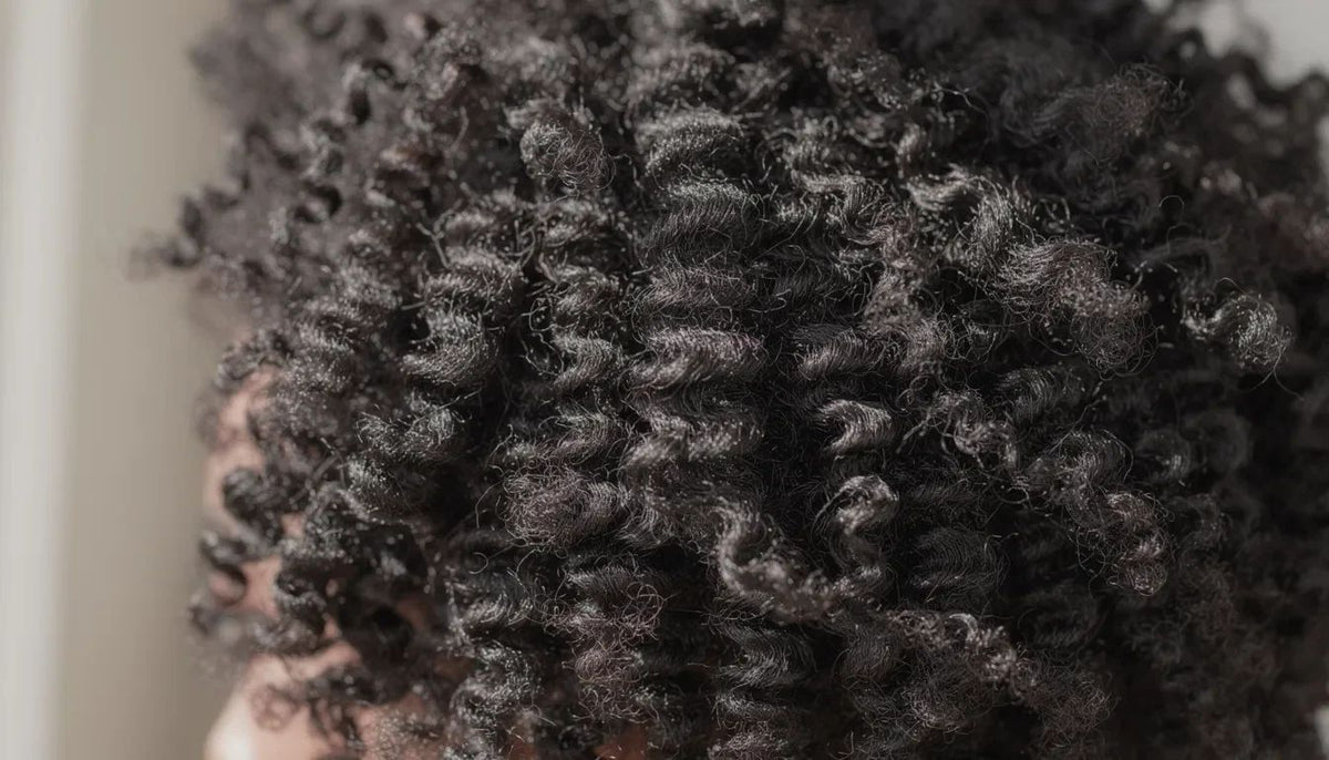 Close-up of tightly coiled, natural black hair showing defined curls and texture, highlighting expert 4C hair care techniques.