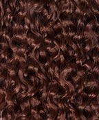 Curly Classic Clip-In Hair Extensions