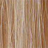 Highlighted Blonde (18/613)