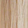 Rooted Ash Blonde (8/60)