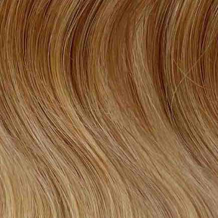 Honey Blonde Ombre (12/27/613)