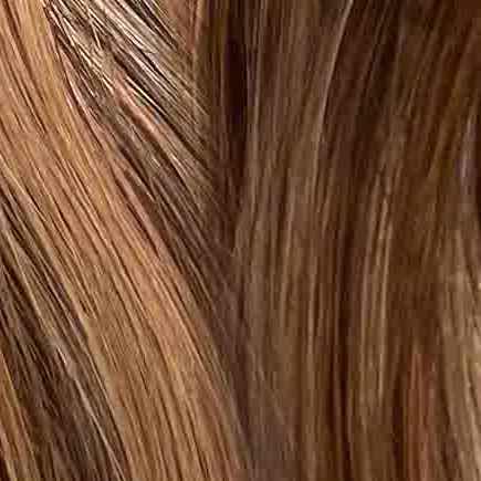 Toffee Blonde Highlights (4/27)