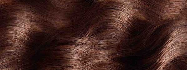 chocolate brown hair exensions