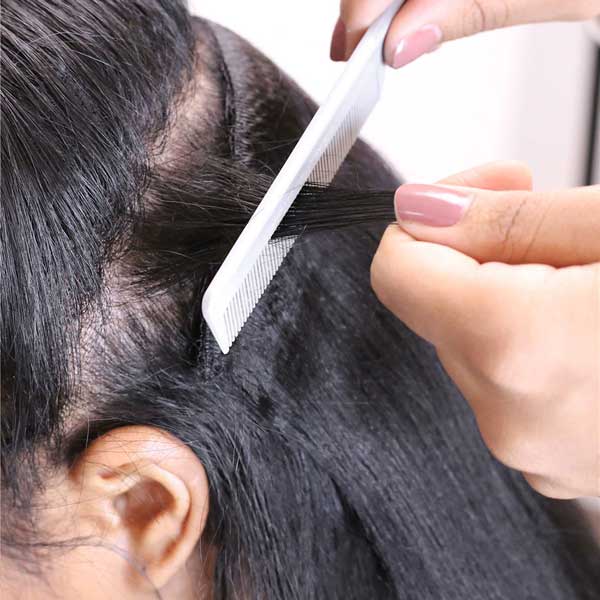 Tease and Prep the Roots