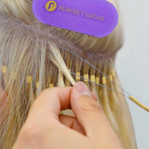 Sectioning & Preparation