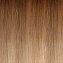 Honey Blonde Ombre (12/27/613)