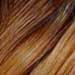 Rooted Toasted Blonde (2/613)