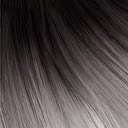 Rooted Black to Silver (1B/S)