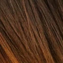 Warm Brown Highlights (6/613)