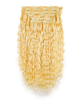 #color_platinum-blonde-(613)