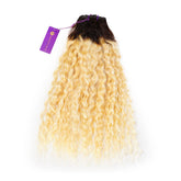 Curly Seamless Clip-In Set / 20 inch / Rooted #2/#24