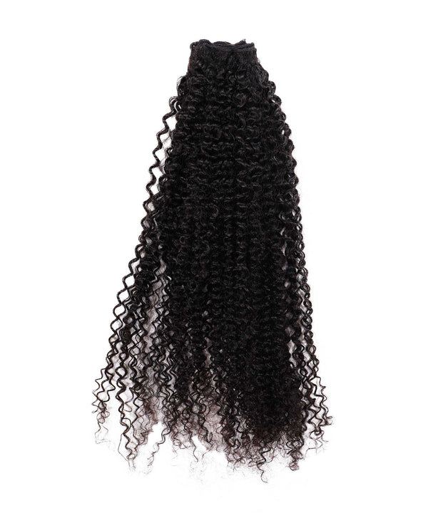 Bulk Hair Extension for Braiding Afro Kinky Curly(WITH One Free Pulling Needle)