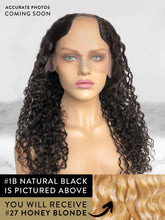 #color_honey-blonde-(27)