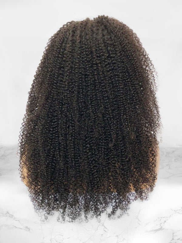 kinky curly lace front wig by perfect locks