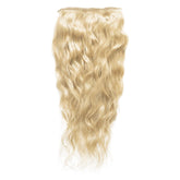 #color_platinum-blonde-(613)