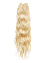 #color_platinum-blonde-(613)